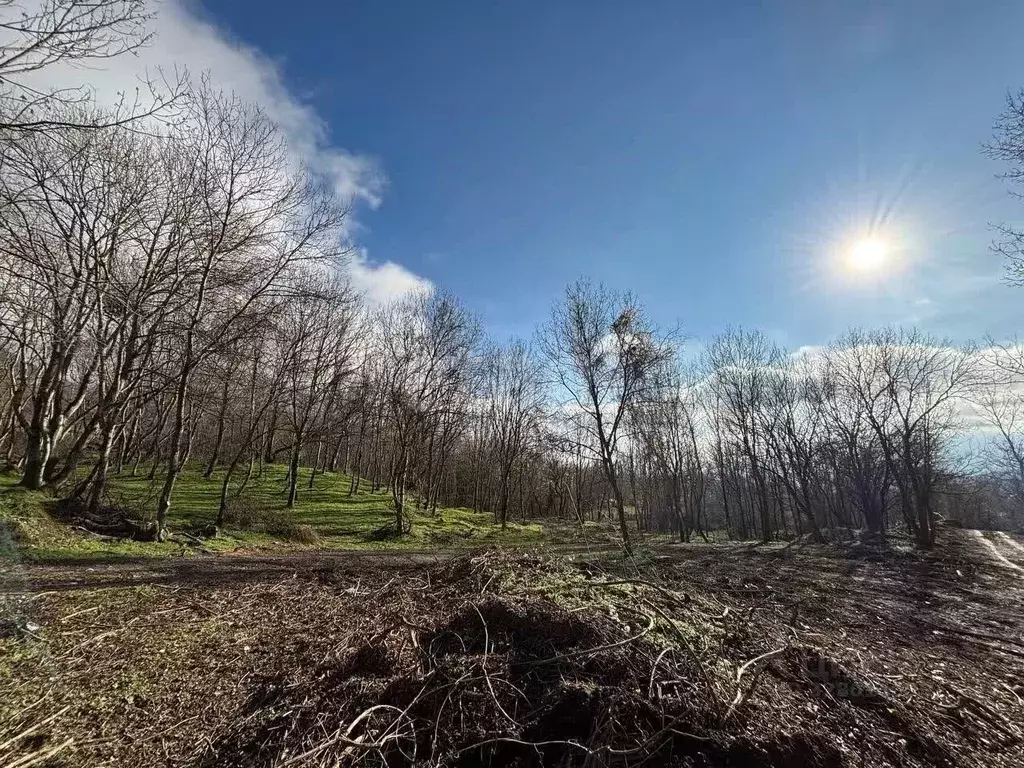 Участок в Крым, Алушта муниципальный округ, с. Лучистое  (6.67 сот.) - Фото 2