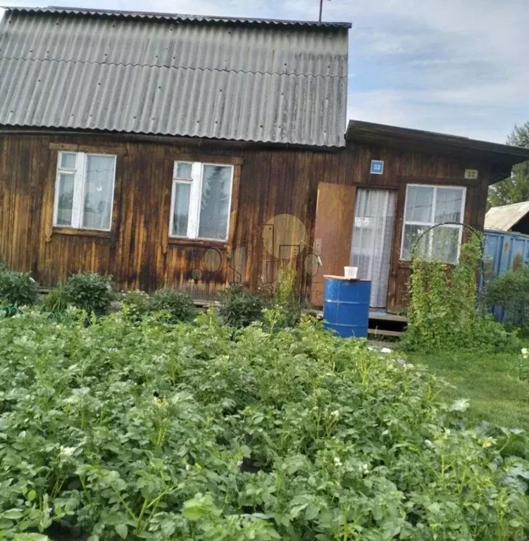 Дом в Иркутская область, Иркутск Иркутянин СНТ, 32 (35 м) - Фото 1