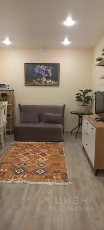 Студия Краснодарский край, Анапа ул. Ленина, 180Ак12 (24.0 м) - Фото 2