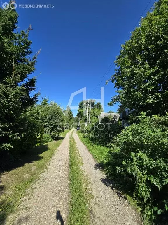 Участок в Сергиево-Посадский городской округ, садоводческое ... - Фото 1