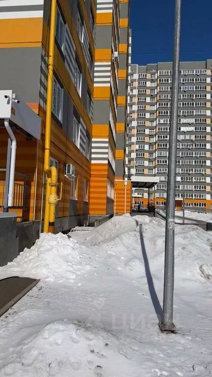 Студия Оренбургская область, Оренбург ул. Юркина, 2 (24.8 м) - Фото 2