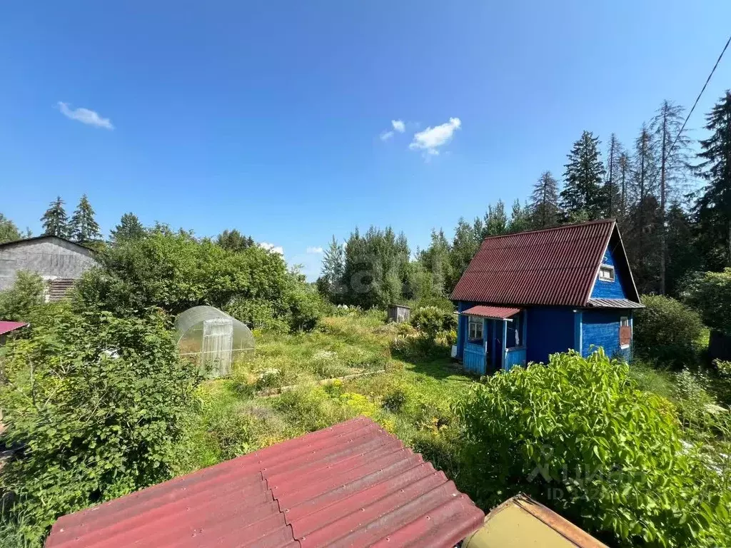 Дом в Вологодская область, Лиана садоводческое товарищество  (25 м) - Фото 2