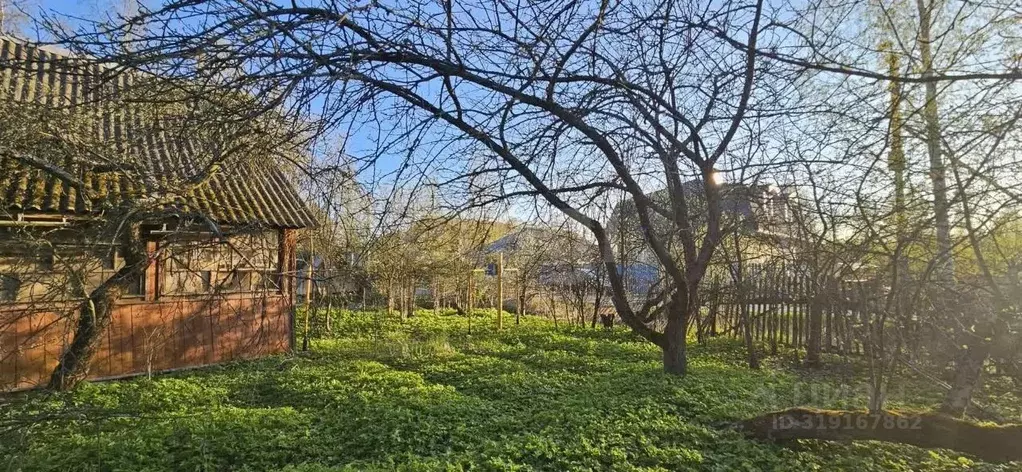 Участок в Санкт-Петербург пос. Саперный, Мгинская ул., 15 (10.48 сот.) - Фото 1