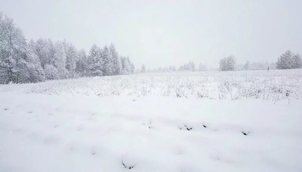 Участок в Тюменская область, Нижнетавдинский муниципальный округ, ... - Фото 2