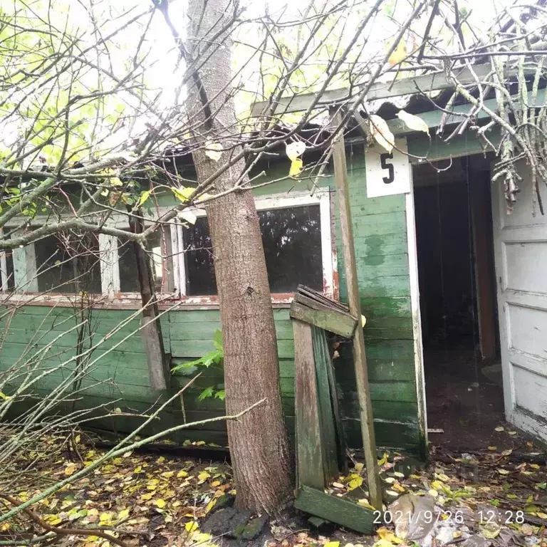 Участок в Рязанская область, Кораблинский муниципальный округ, с. ... - Фото 2