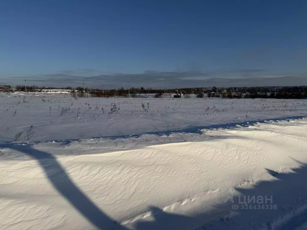 Участок в Владимирская область, Карабаново г. Александровский ... - Фото 1