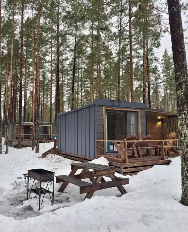 Дом в Ленинградская область, Выборгский район, Рощино пгт  (40 м) - Фото 2