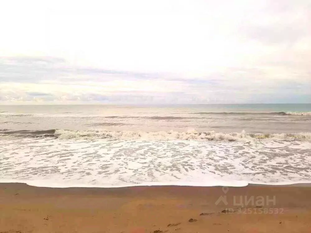 Участок в Краснодарский край, Темрюкский район, Новотаманское с/пос, ... - Фото 2