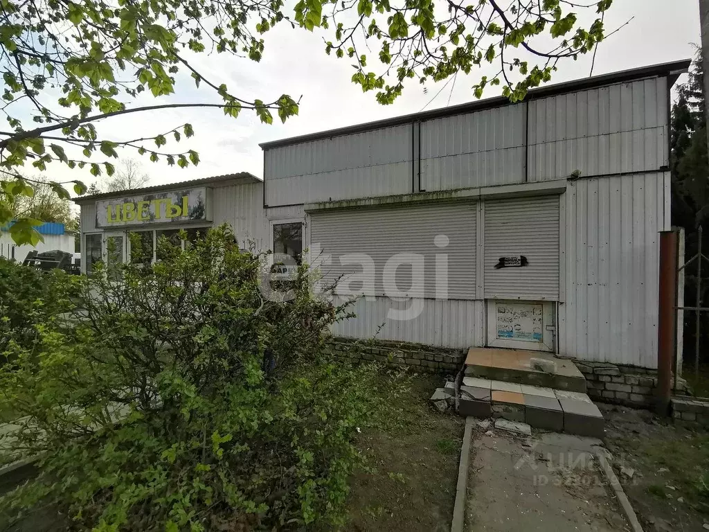 Помещение свободного назначения в Брянская область, Брянск ... - Фото 2