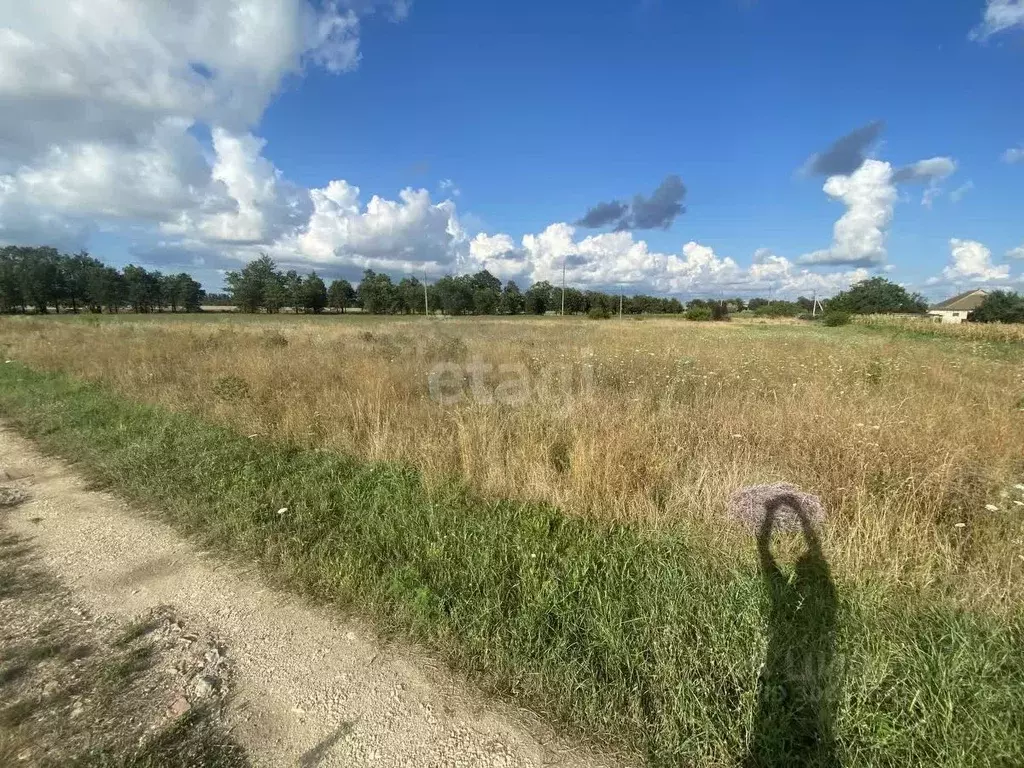 участок в краснодарский край, темрюкский район, краснострельское . - Фото 1