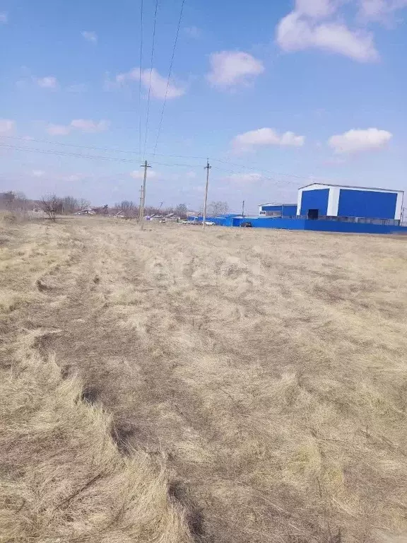 Участок в Белгородская область, Поселок Чернянка городское поселение, ... - Фото 2