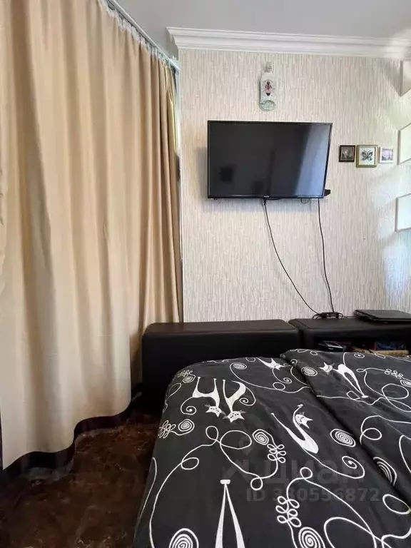 Студия Краснодарский край, Геленджик ул. Гоголя, 11А (42.0 м) - Фото 2