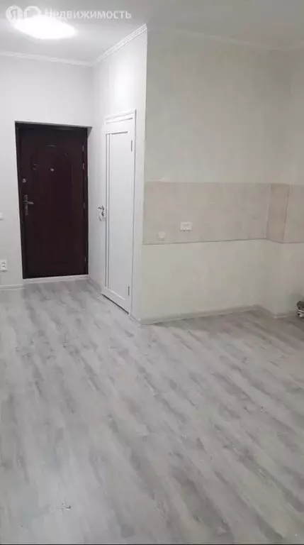 1-комнатная квартира: Российский, улица Шевкунова, 20 (23 м) - Фото 1