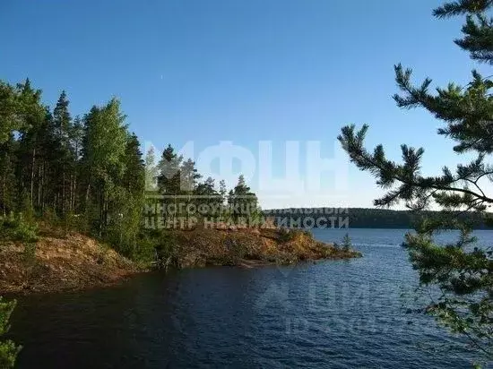 Участок в Карелия, Лахденпохский муниципальный округ, Мийнальское ... - Фото 1