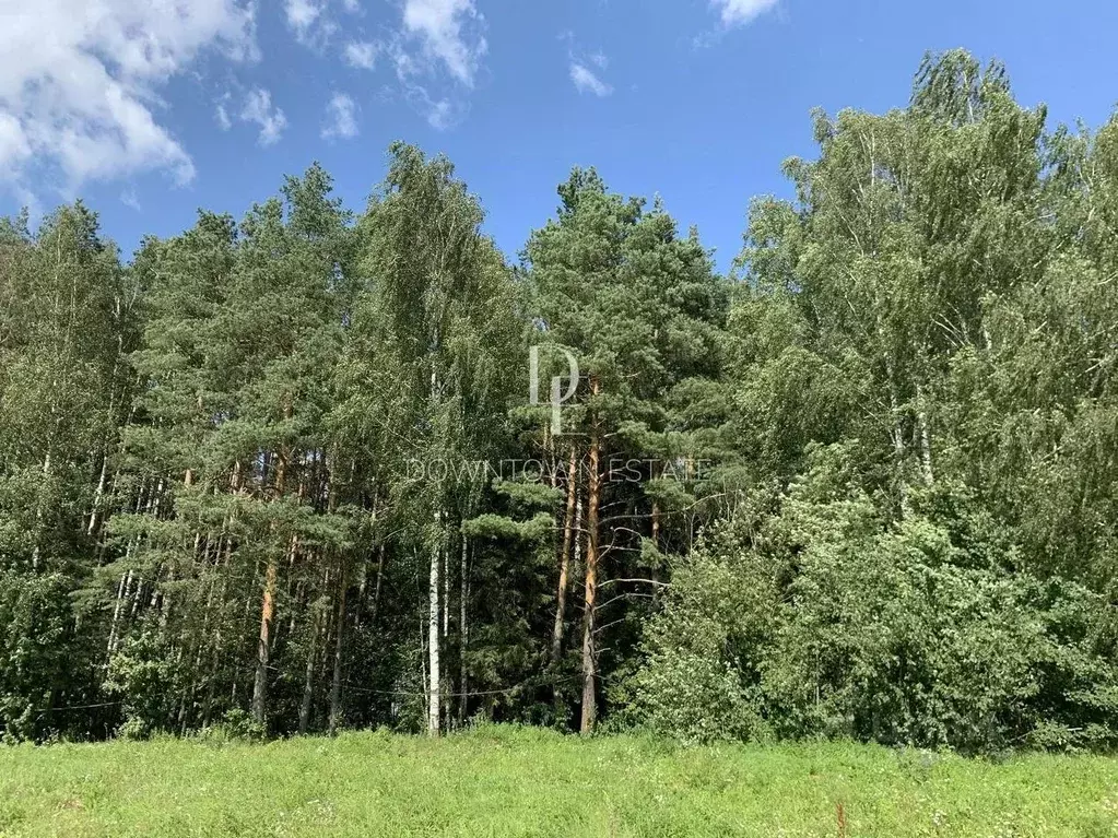 Участок в Московская область, Одинцовский городской округ, д. ... - Фото 0