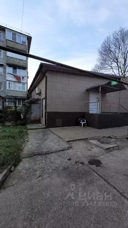 Помещение свободного назначения в Краснодарский край, Сочи городской ... - Фото 1