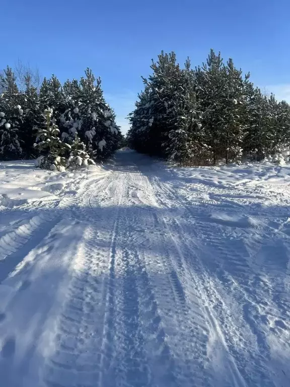 Участок в Свердловская область, Екатеринбург Мостовка СНТ, ул. ... - Фото 2