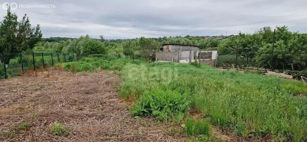 Дом в село Стрелецкое, улица Чапаева (45 м) - Фото 2