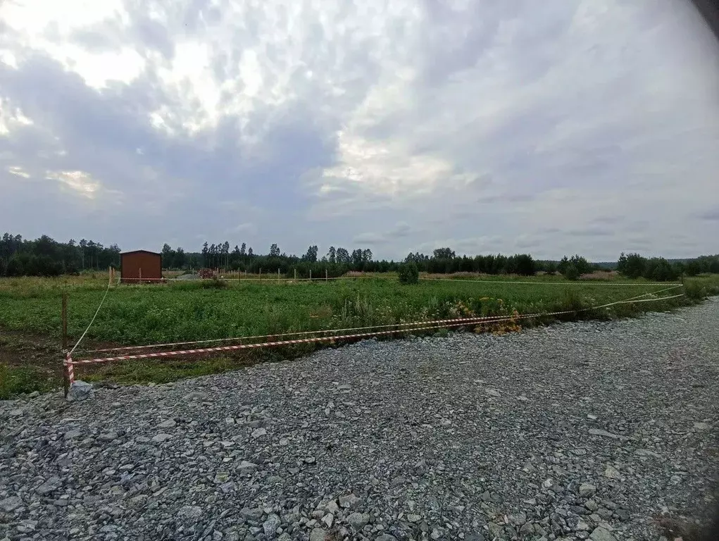 Участок в Свердловская область, Екатеринбург Шабровские дачи жилой ... - Фото 2