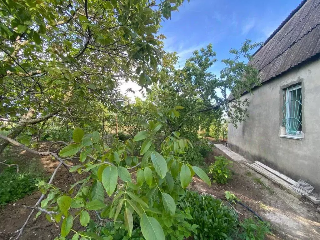 Дом в Крым, Феодосия городской округ, с. Береговое ул. Садовая (56.0 . - Фото 1
