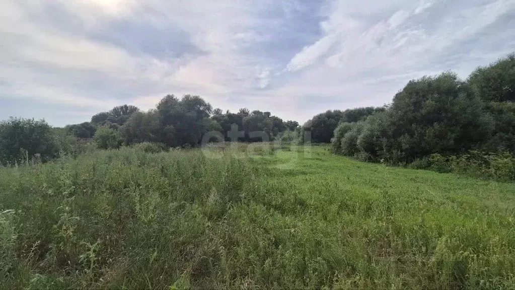 Участок в Белгородская область, Старооскольский городской округ, с. ... - Фото 2