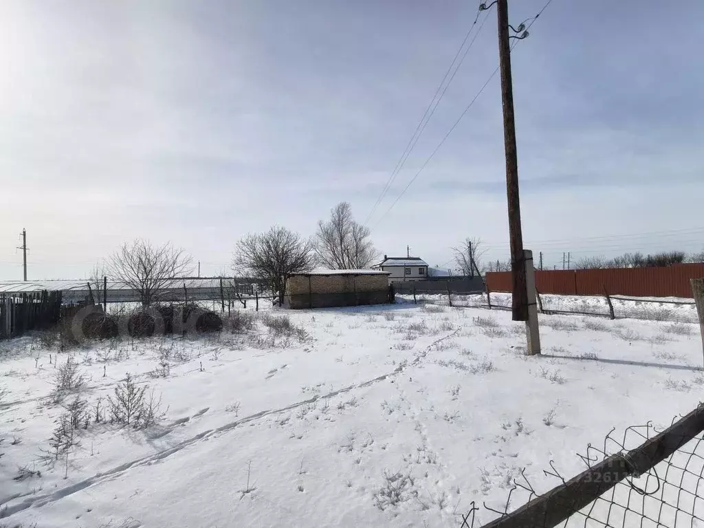 Участок в Волгоградская область, Среднеахтубинский район, Фрунзенское ... - Фото 2