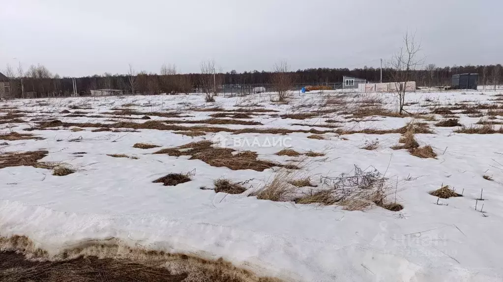Участок в Владимирская область, Владимир д. Шепелево, ул. Придорожная ... - Фото 1