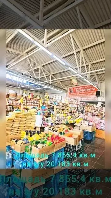 Продажа центрального рынка - Фото 1