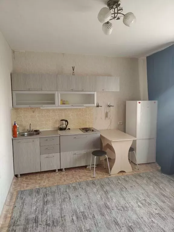 Студия Красноярский край, Красноярск ул. Петра Подзолкова, 5А (24.0 м) - Фото 1