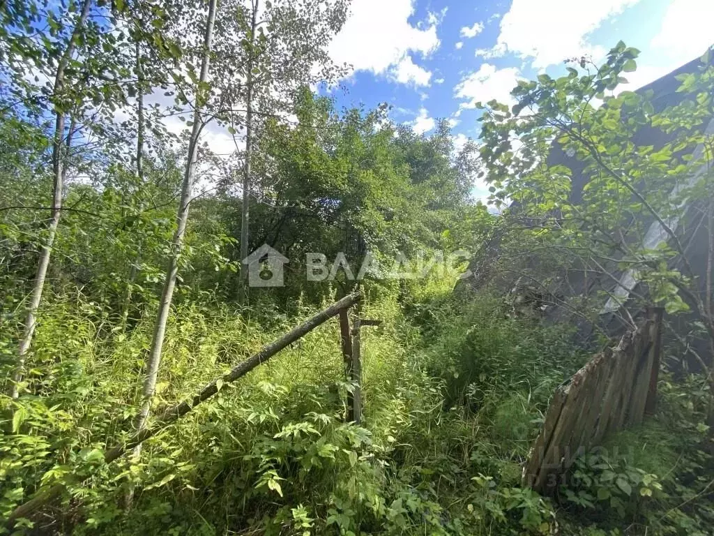 Участок в Владимирская область, Судогодский район, Вяткинское ... - Фото 1