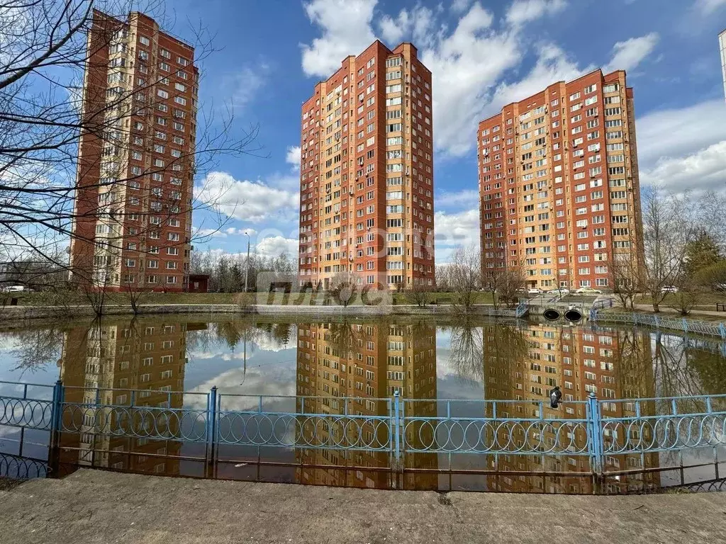 3-к кв. Московская область, Щелково Центральная ул., 96к2 (83.9 м) - Фото 1