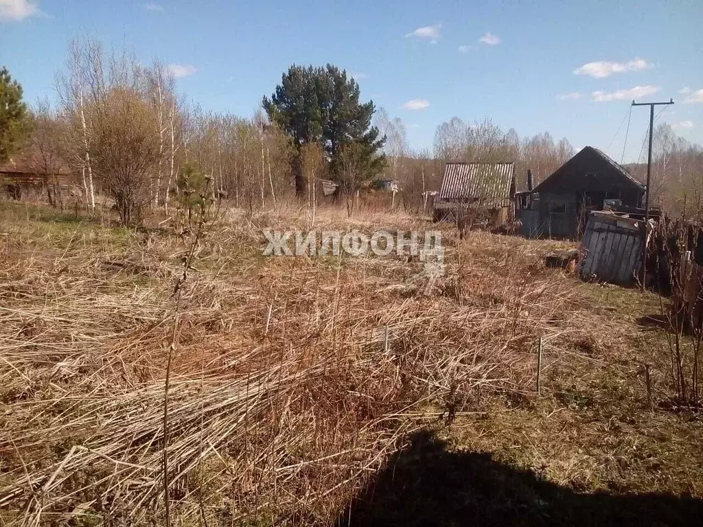 Дом в Новосибирская область, Новосибирский район, Раздольненский ... - Фото 0