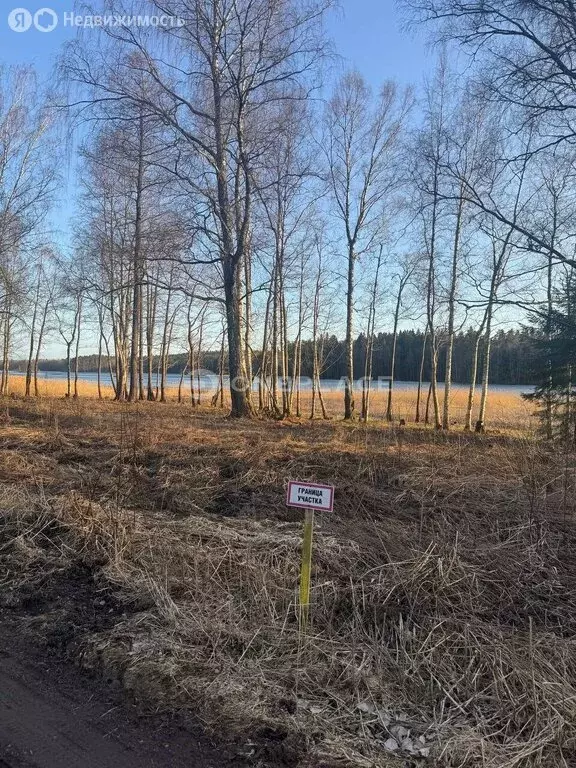 Участок в посёлок Студёное, улица Демидова (32 м) - Фото 1