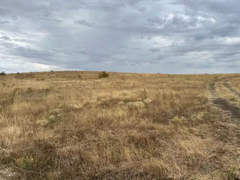 Участок в Крым, Белогорский район, Зуя пгт ул. 8 Марта (10.0 сот.) - Фото 1