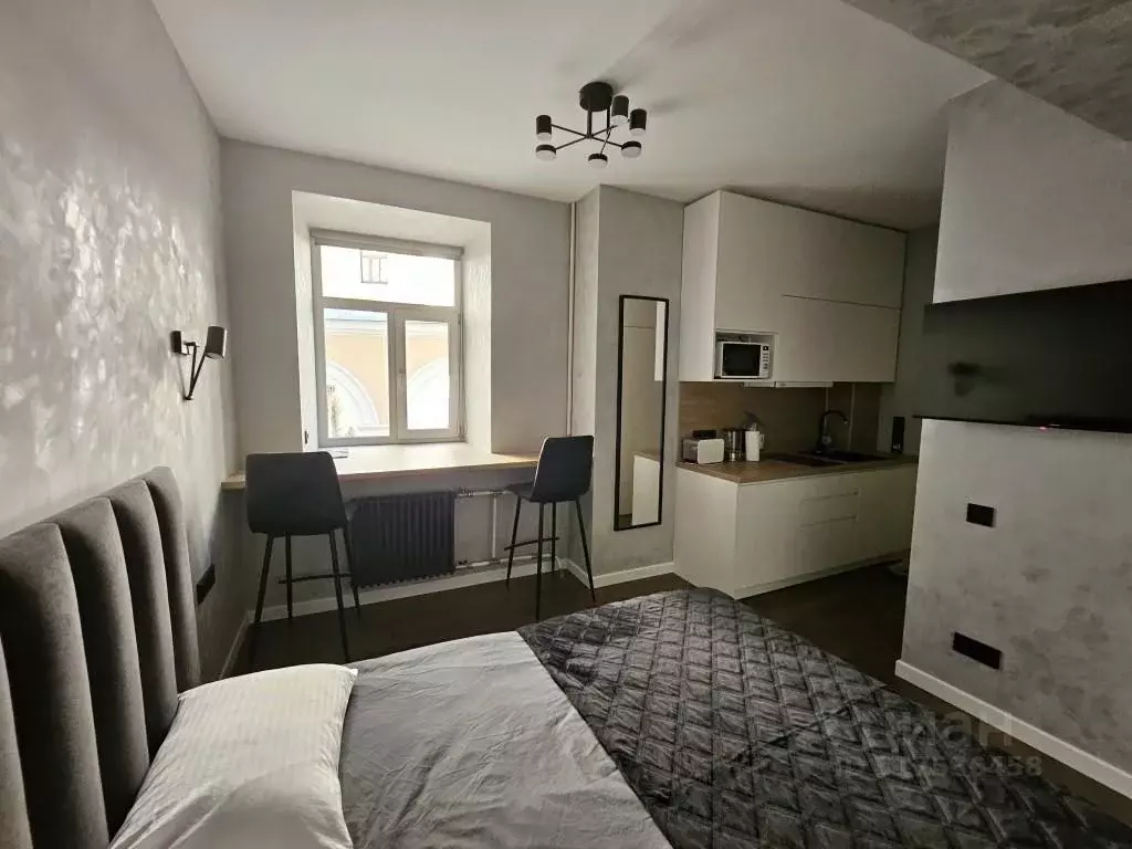 1-к кв. Санкт-Петербург Большая Конюшенная ул., 13 (20.0 м) - Фото 0