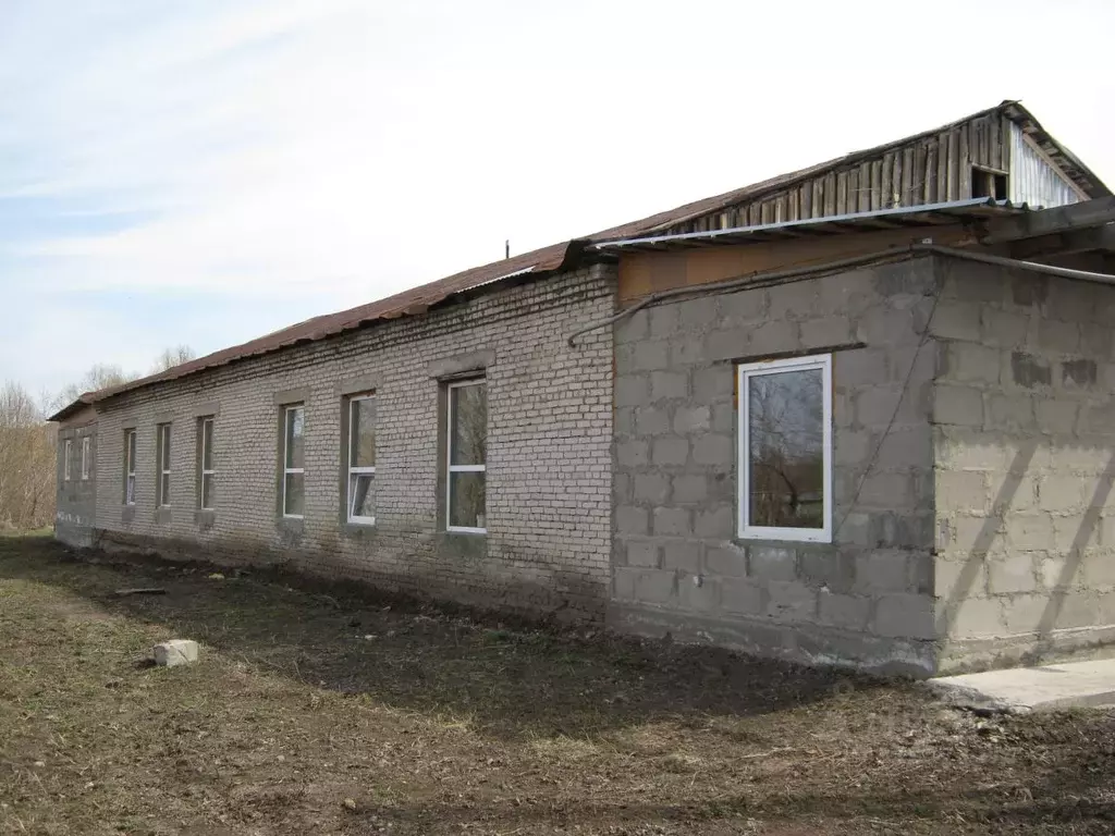 Помещение свободного назначения в Алтайский край, Косихинский район, ... - Фото 0