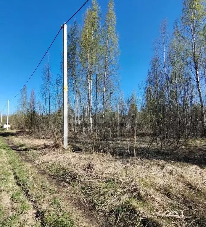 Участок в Вологодская область, Вологда Медик садоводческое ... - Фото 1