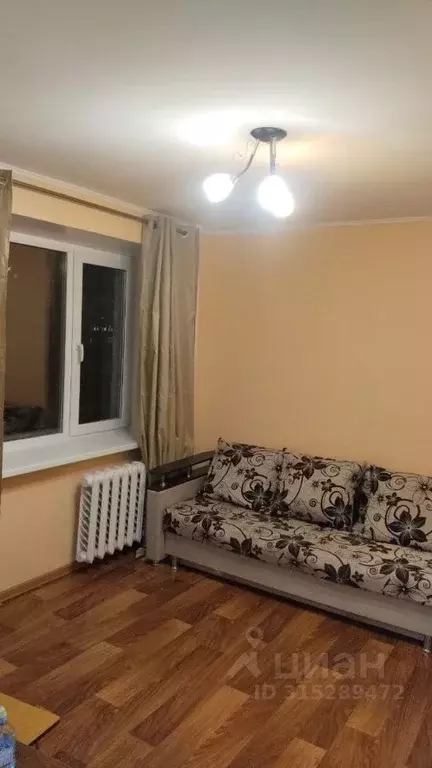 1-к кв. Челябинская область, Челябинск ул. Энергетиков, 3А (30.0 м) - Фото 1