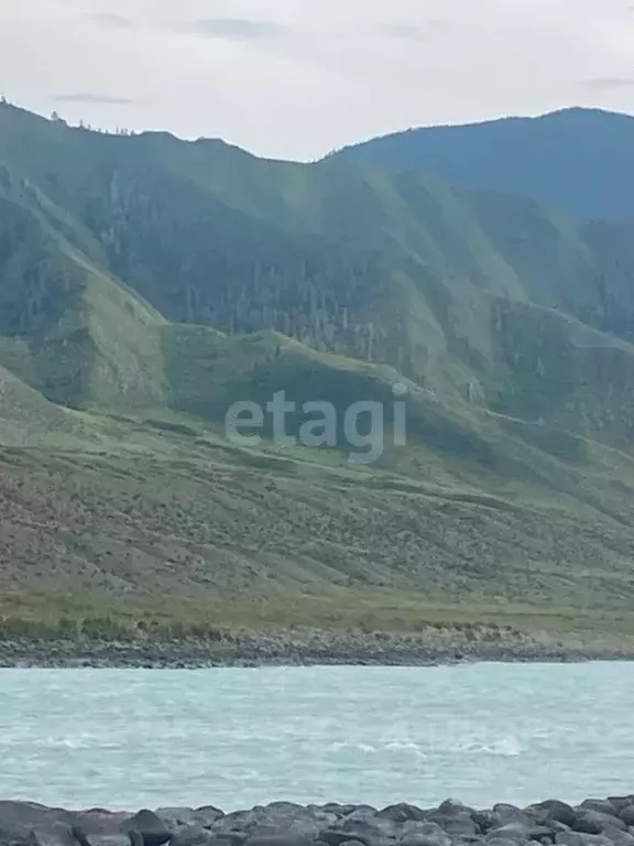 Участок в Алтай, Онгудайский район, с. Инегень  (1410.0 сот.) - Фото 1