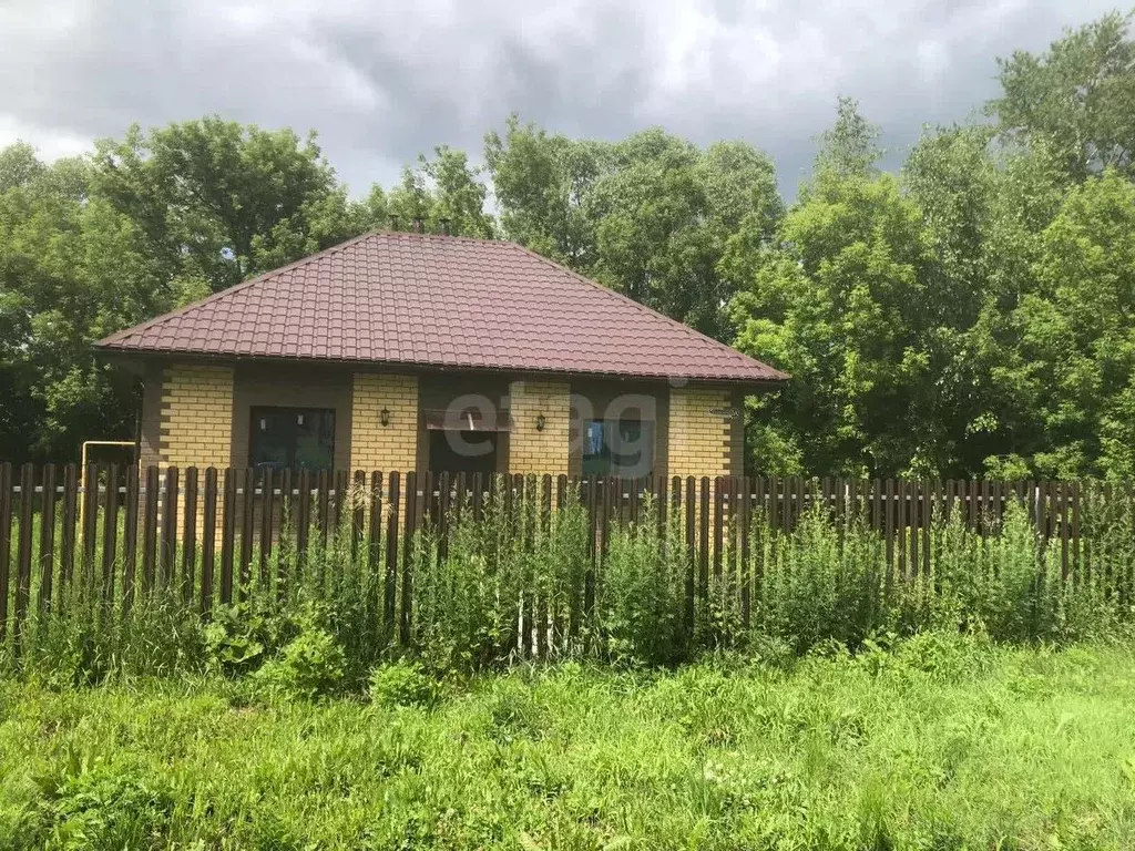 Дом в Татарстан, Лаишевский район, Никольское с/пос, с. Никольское ул. ... - Фото 1