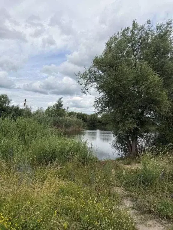 Участок в Белгородская область, Белгородский муниципальный округ, ... - Фото 2