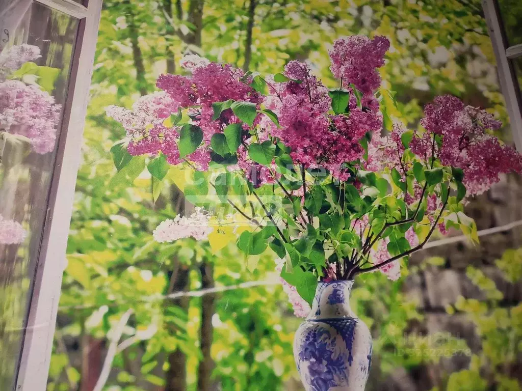 3-к кв. Ивановская область, Иваново ул. Шубиных, 31б (62.0 м) - Фото 2