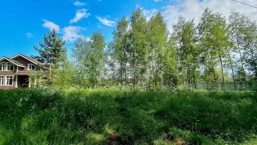 Участок 14,6 сот. (ИЖС) - Фото 1