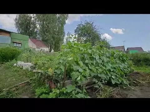 Дача 40 м на участке 4,3 сот. - Фото 1