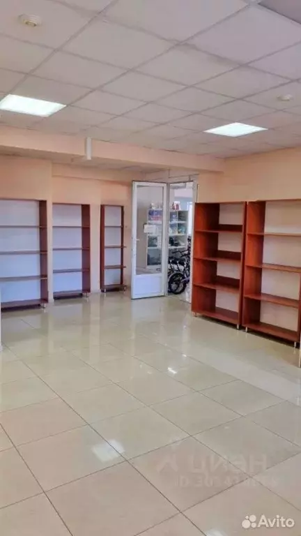 Помещение свободного назначения в Курская область, Курск ул. ... - Фото 1