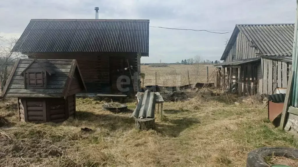 Дом в Новгородская область, Чудовский муниципальный округ, Успенское ... - Фото 1