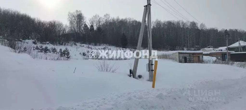 Участок в Кемеровская область, Кемеровский муниципальный округ, с. ... - Фото 1