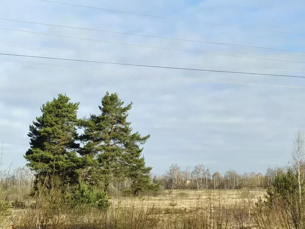 Участок в Московская область, Шаховская муниципальный округ, д. ... - Фото 1