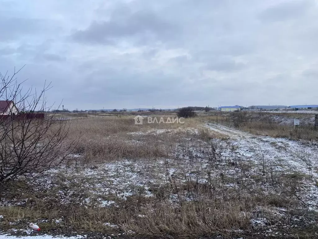 Участок в Рязанская область, Пронск рп ул. Верхне-Архангельская (10.0 ... - Фото 0