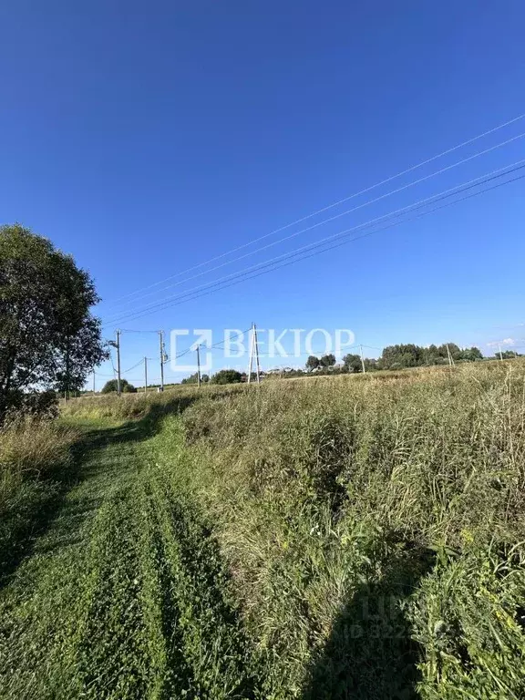 Участок в Костромская область, Костромской район, Шунгенское с/пос, д. ... - Фото 2